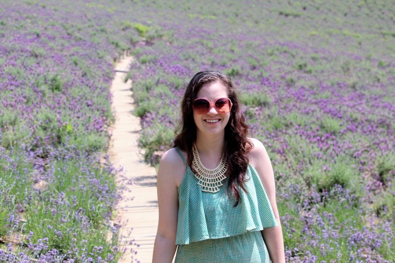 Herb Village, Yeoncheon-gun, Korea: Lavender Field, Hallie Bradley