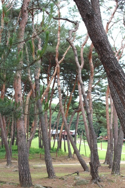 Seooreung Tombs, Goyang, Korea