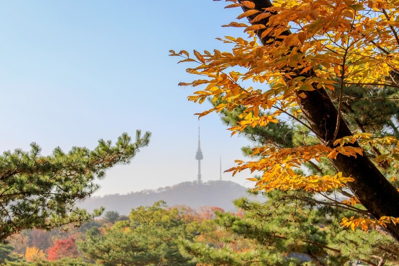 Changgyeonggung Palace, Seoul, Korea