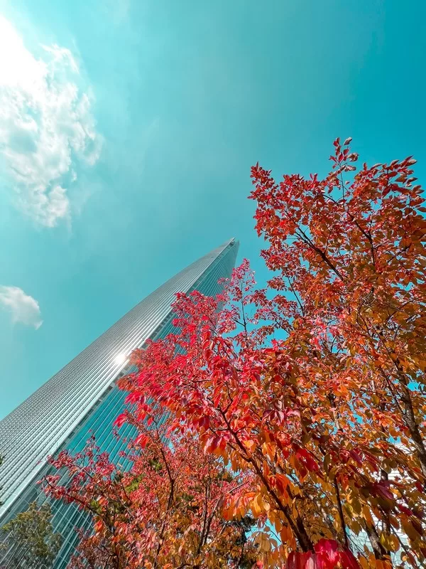 Seoul Sky Observatory, Jamsil, Seoul, Korea; fall foliage