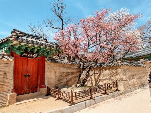 AN EPIC TRAVEL GUIDE TO SEOUL KOREA FOR THE FIRST TIMER visual data 6