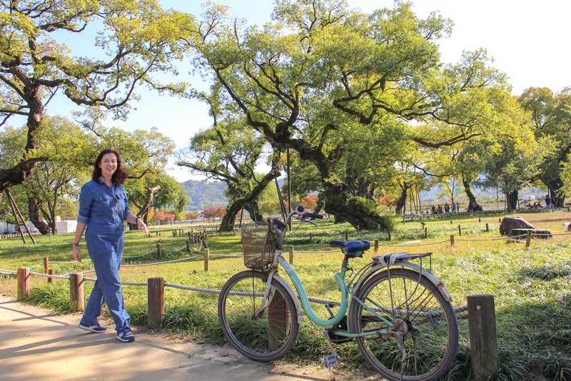 Seongju, Korea: Seongbak Forest Hallie Bradley