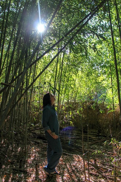 Seongju, Korea: Hangae Folk Village: Hallie Bradley in a Bamboo Forest