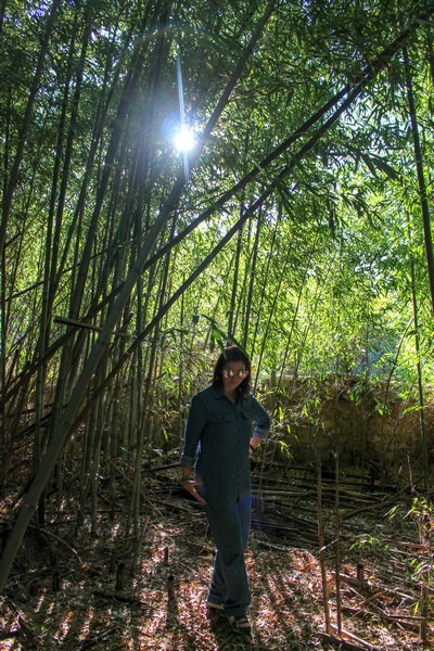 Seongju, Korea: Hangae Folk Village: Hallie Bradley in a Bamboo Forest