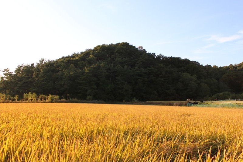 Seongju, Korea: Hangae Folk Village