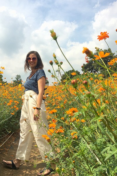 Olympic Park, Seoul, Korea: Hallie Bradley in a Cosmos Field