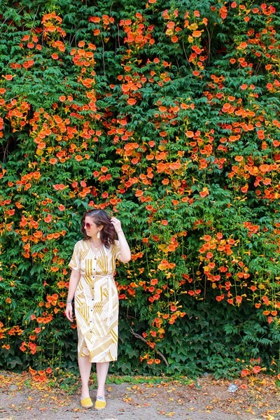 Ttukseom Han River Park, Seoul, Korea: Trumpet Vine Flowers & Hallie Bradley