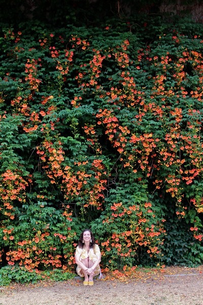 Ttukseom Han River Park, Seoul, Korea: Trumpet Vine Flowers & Hallie Bradley