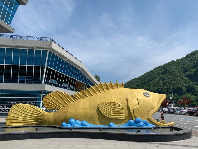 Danyang Danuri Aquarium, Danyang, Korea