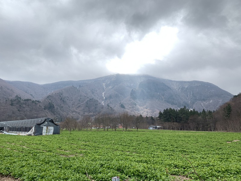 Nari Basin, Ulleung-do, Korea