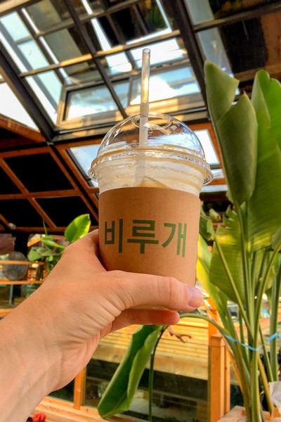 비루개, Greenhouse cafe, Seoul, Korea