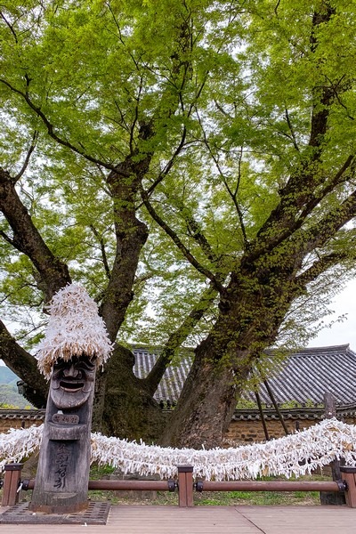 Andong Hahoe Folk Village (안동 하회마을), Andong, Korea