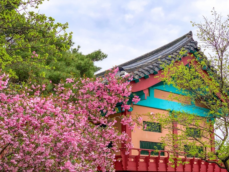 Andong Hahoe Folk Village (안동 하회마을), Andong, Korea