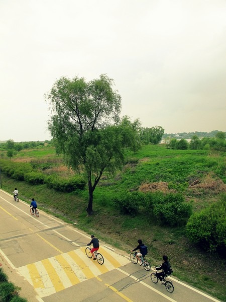 Gangseo Marsh Ecological Park, Han Gang River park, Seoul, Korea