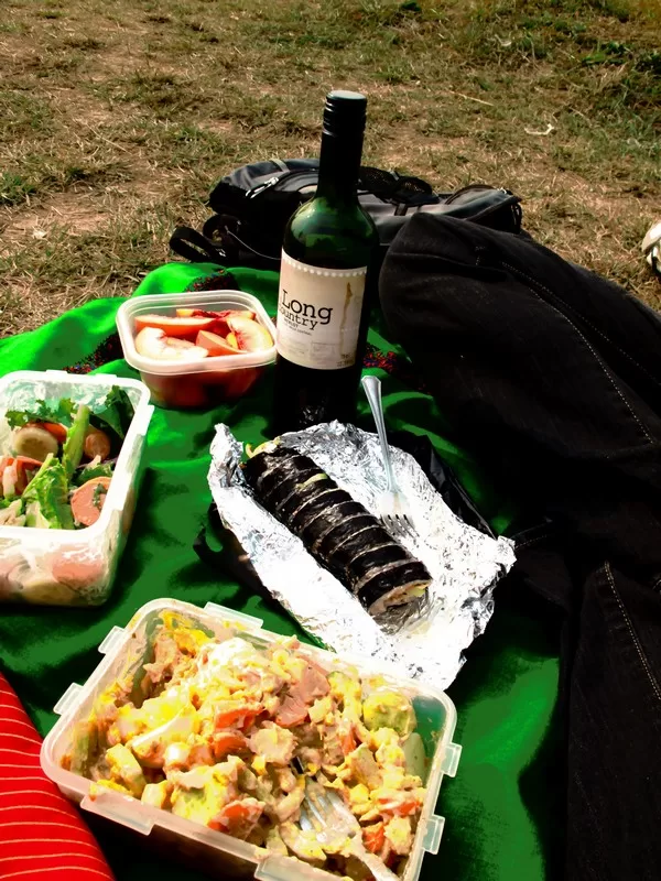 Mangwon Park, Han River Park picnic, Korean food