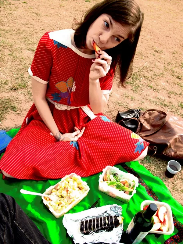 Mangwon Park, Han River Park picnic, Korean food