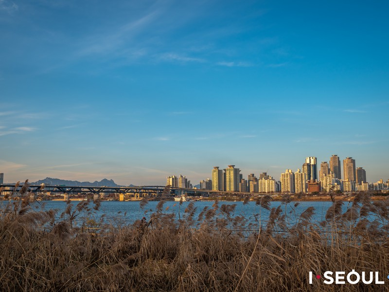 Jamsil Han River Park (잠실한강공원), Seoul, Korea