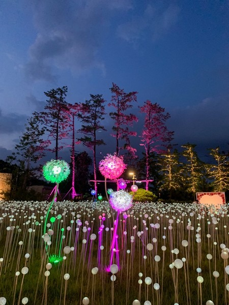 Illumination Theme Park Ooozooo, Deokpyeong Eco Service Area, Icheon, Korea