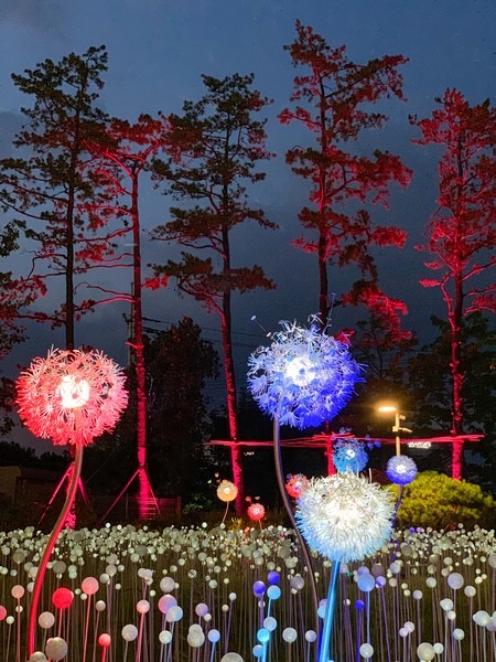 Illumination Theme Park Ooozooo, Deokpyeong Eco Service Area, Icheon, Korea