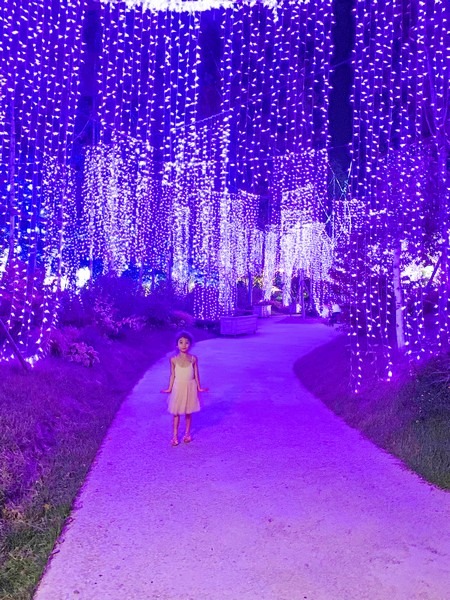 Illumination Theme Park Ooozooo, Deokpyeong Eco Service Area, Icheon, Korea