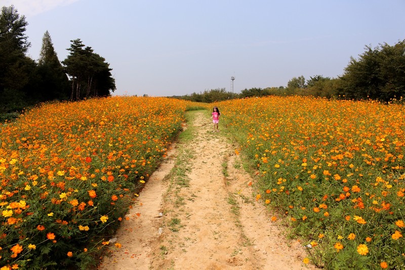 Dream Park, Incheon, Korea