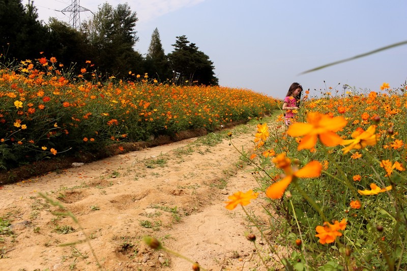 Dream Park, Incheon, Korea