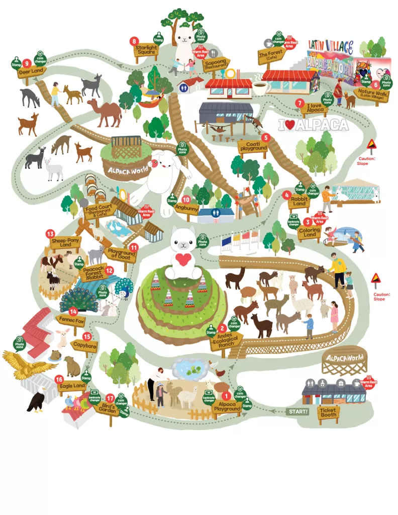 Alpaca World, Gangwon-do, Korea