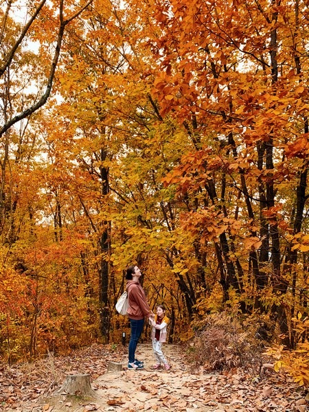 Resom Forest & Have9 Spa, Chungcheongbuk-do, Korea: Hallie Bradley