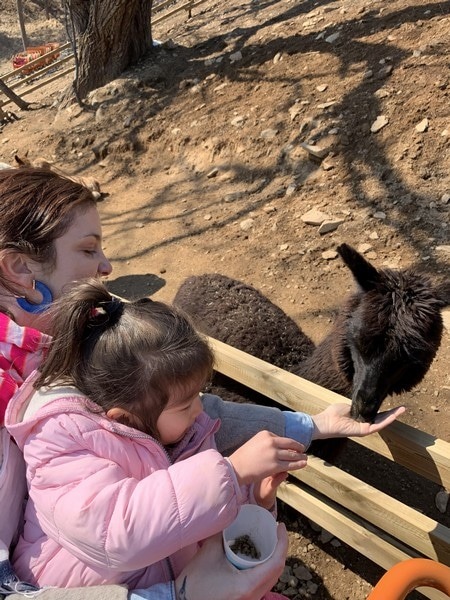 Alpaca World, Korea