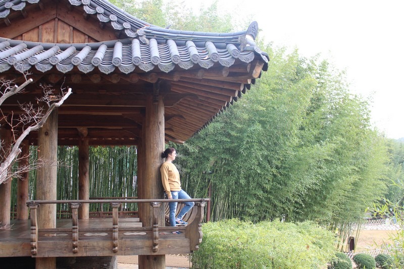 Taehwagang River Bamboo Forest, Ulsan, Korea