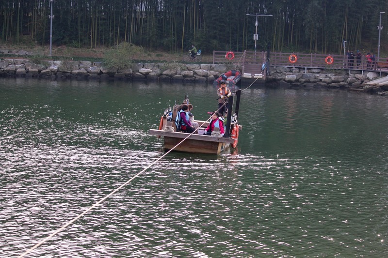 Taehwagang River Bamboo Forest, Ulsan, Korea