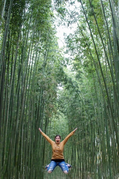 Taehwagang River Bamboo Forest, Ulsan, Korea