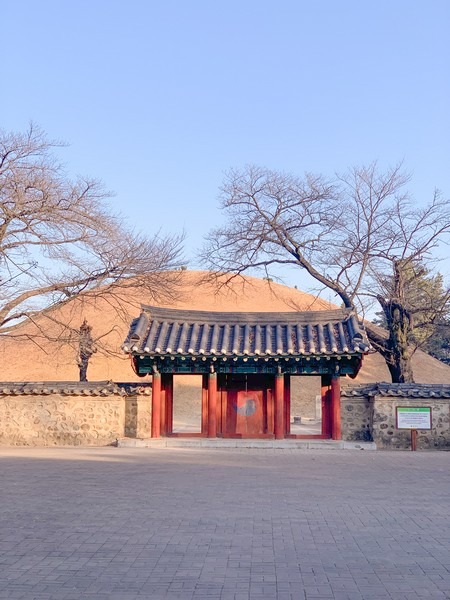 Daereungwon Tomb Complex / Tumuli Park (대릉원경주시 사적공원), Gyeongju, Korea