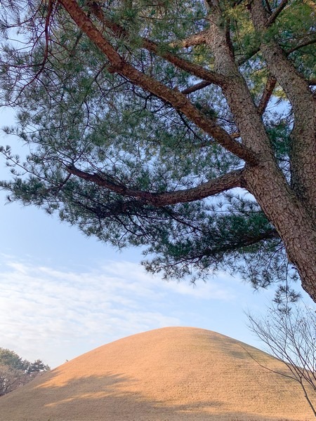 Daereungwon Tomb Complex / Tumuli Park (대릉원경주시 사적공원), Gyeongju, Korea