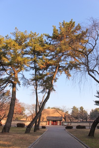 Daereungwon Tomb Complex / Tumuli Park (대릉원경주시 사적공원), Gyeongju, Korea