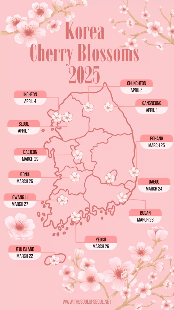 2025 Korea cherry blossom forecast; when will cherry blossoms bloom in Korea 2025