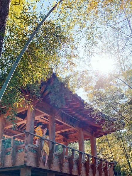 Juknokwon (죽녹원), Bamboo Forest, Damyang, Jeollanam-do, Korea