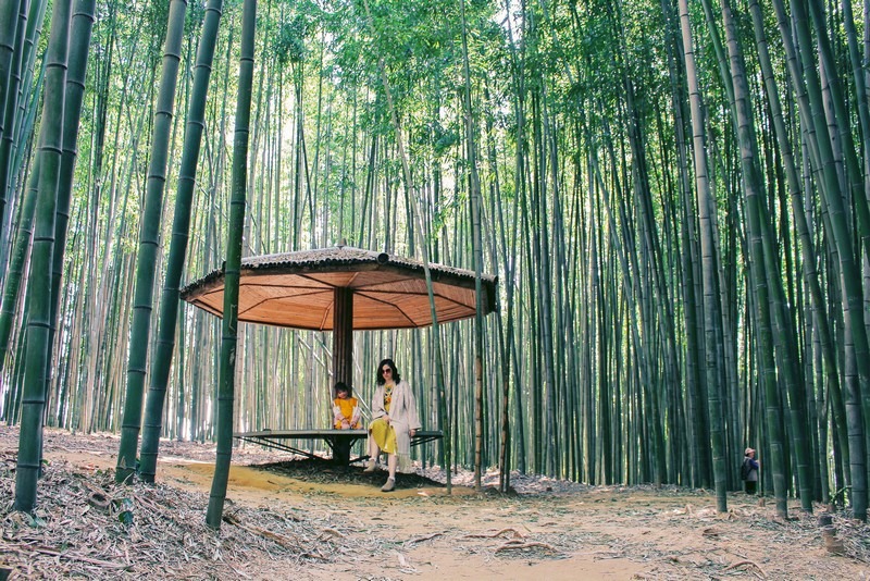 Juknokwon (죽녹원), Bamboo Forest, Damyang, Jeollanam-do, Korea