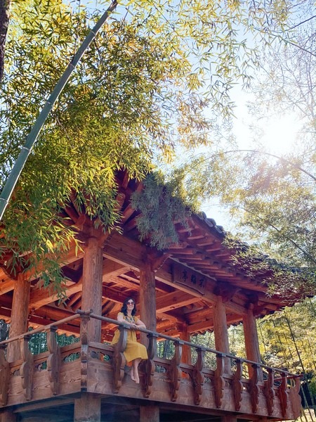 Juknokwon (죽녹원), Bamboo Forest, Damyang, Jeollanam-do, Korea