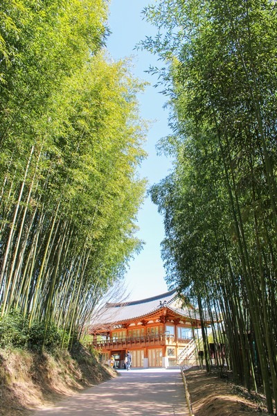 Juknokwon (죽녹원), Bamboo Forest, Damyang, Jeollanam-do, Korea