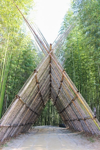 Juknokwon (죽녹원), Bamboo Forest, Damyang, Jeollanam-do, Korea