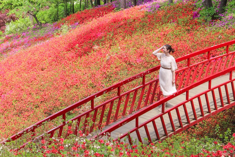 Jangheung Botanical Garden (장흥자생수목원), Jangheung, Yangju, Gyeonggi-do