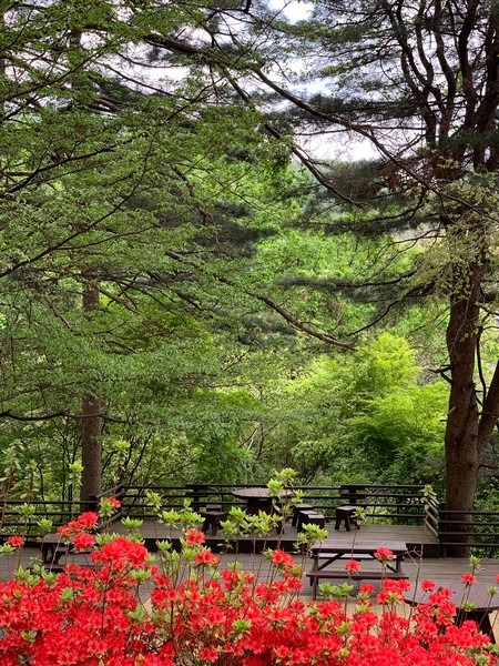 Jangheung Botanical Garden (장흥자생수목원), Jangheung, Yangju, Gyeonggi-do