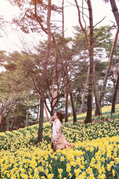 Yoogibanggaoak, Seosan, Chungcheongnam-do, Korea: Daffodil field