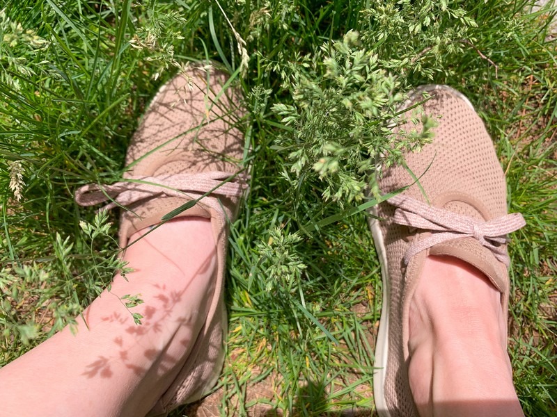 Allbirds: Tree Skippers Review