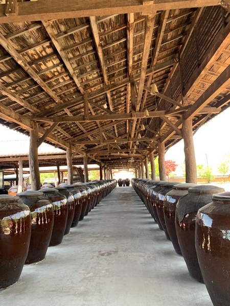 Sansawon Museum (전통술박물관 산사원) & Bae Sang Myeon Brewery (배상면주가), Pocheon, Korea