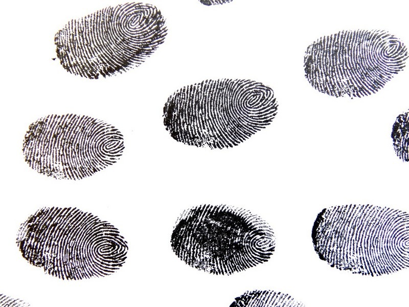 fingerprint