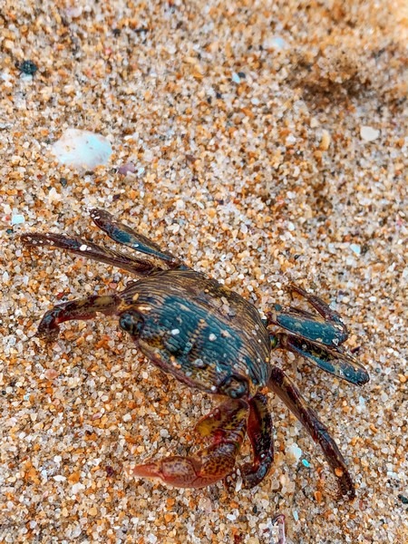 Chuam Beach, Donghae, Korea