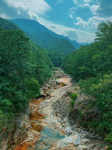 Donghae Mureung Health Forest, Donghae, Gangwon-do