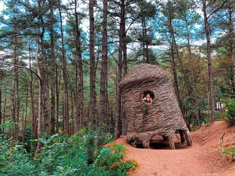 Geumgang Nature Biennale (금강자연미술비엔날레), Gongju, Korea